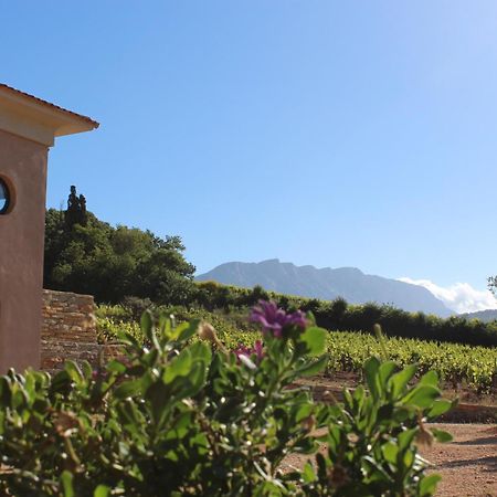 La Bastide - Le Grenache - Le Syrah Au Domaine Chateau Henri Bonnaud Tholonet Exterior foto