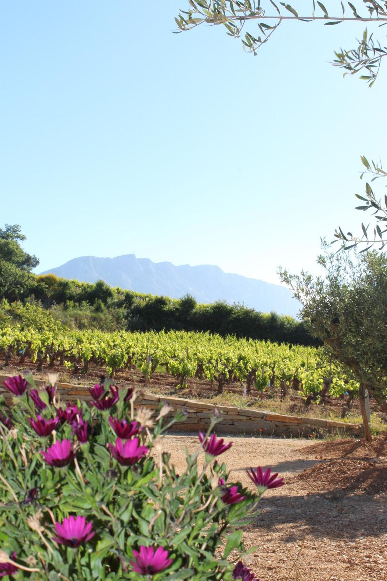La Bastide - Le Grenache - Le Syrah Au Domaine Chateau Henri Bonnaud Tholonet Exterior foto