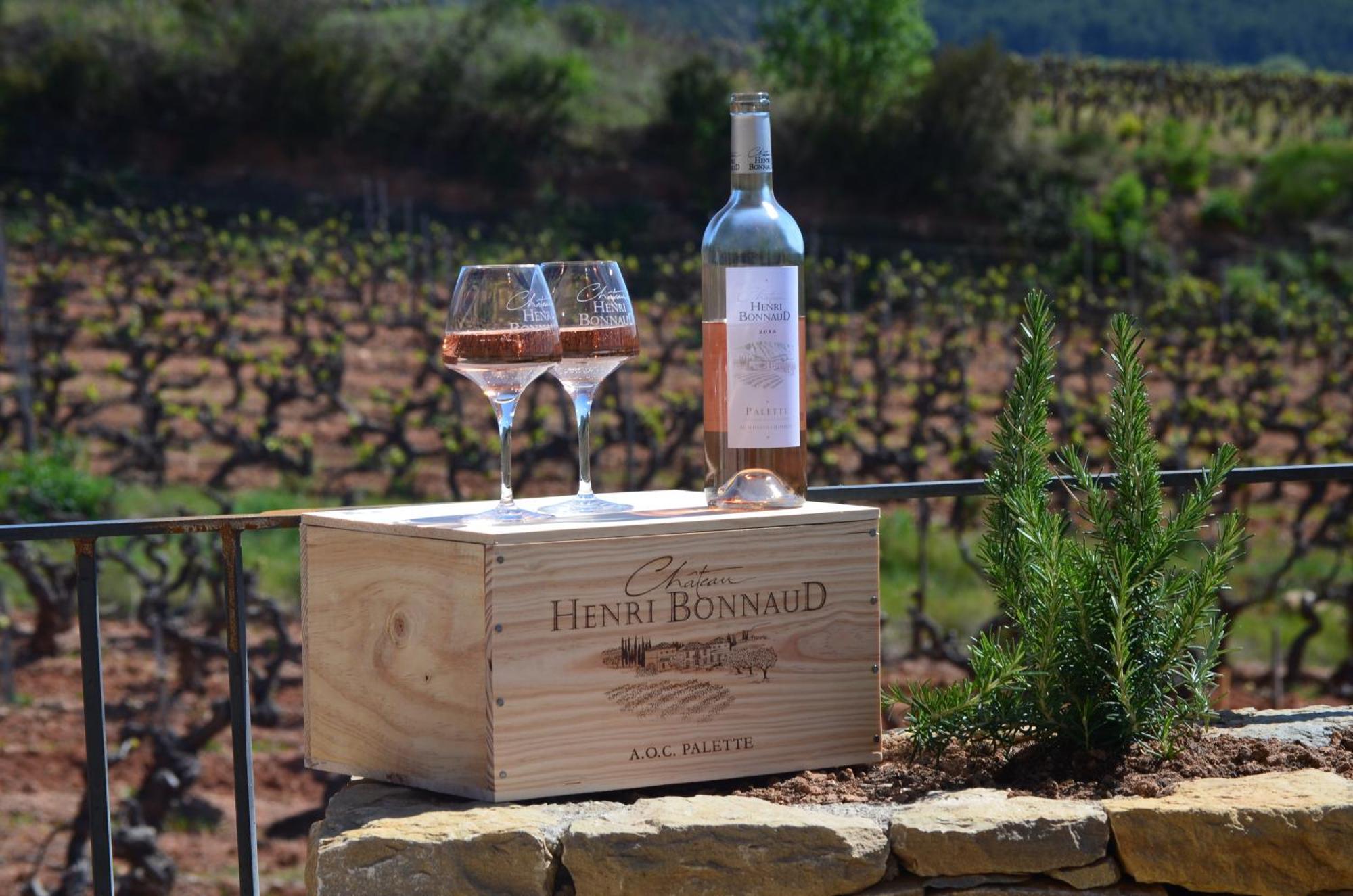 La Bastide - Le Grenache - Le Syrah Au Domaine Chateau Henri Bonnaud Tholonet Exterior foto