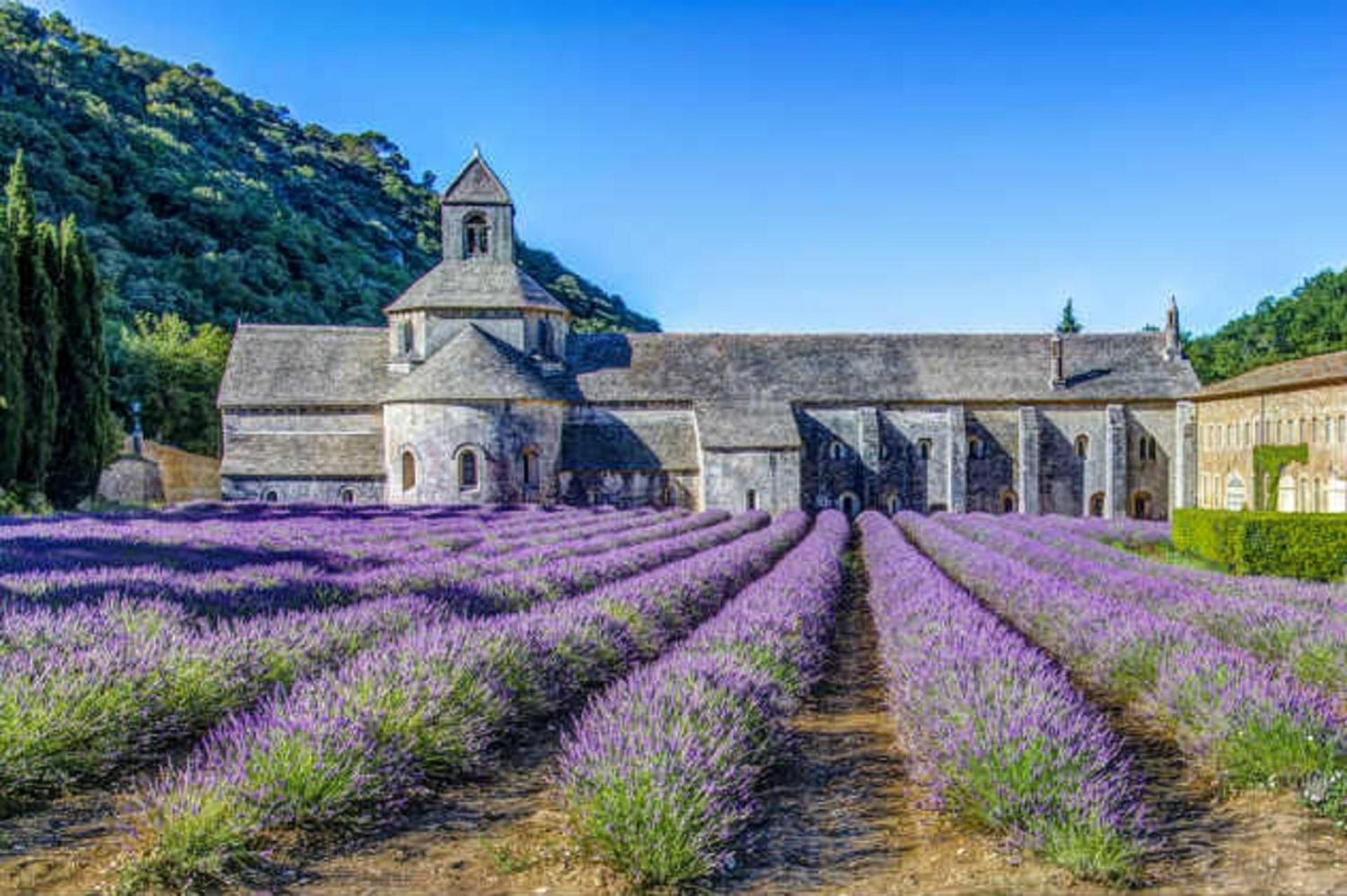 La Bastide - Le Grenache - Le Syrah Au Domaine Chateau Henri Bonnaud Tholonet Exterior foto
